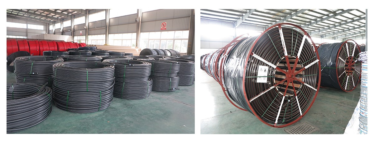 1637222966951131.jpg 01.jpg